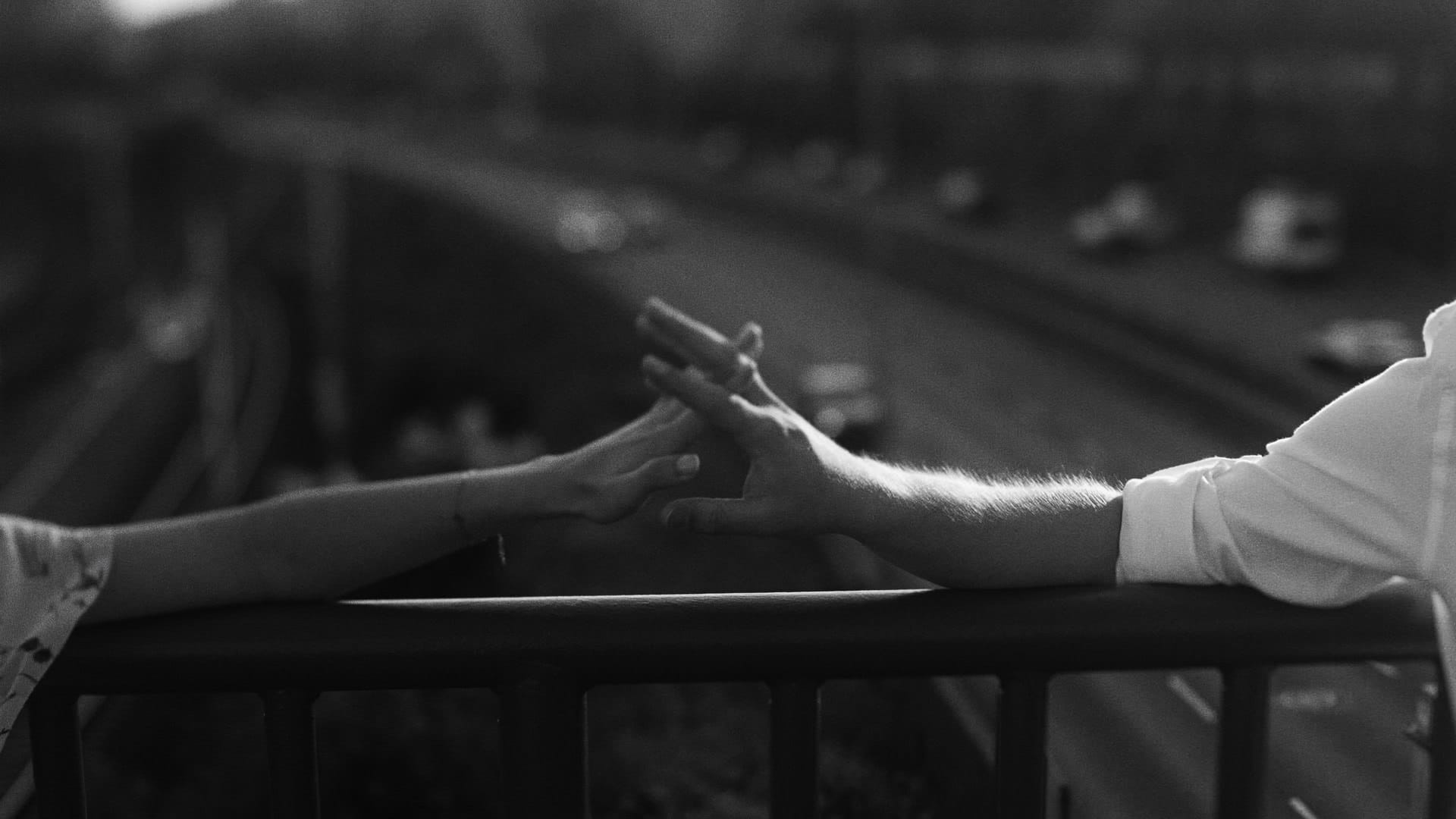 K&K - wesele w Oranżerii Przyjęcia - wesele w oranzerii przyjecia zawada film 0008