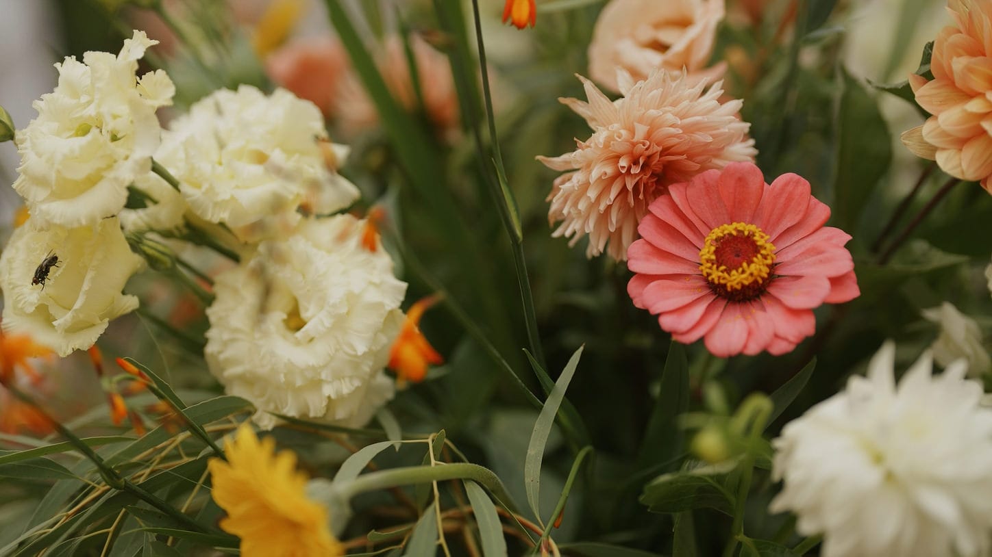 M&D - wesele w plenerze w Imperial Wedding - imperial 00005